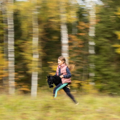 Hobby Horse Skippi - koń na kiju - Szary Hobby Horse Skippi - koń na kiju - Szary