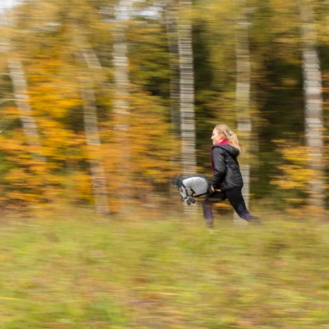 Hobby Horse Skippi - koń na kiju - Szary Hobby Horse Skippi - koń na kiju - Szary
