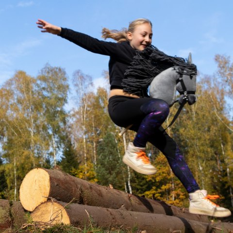 Hobby Horse Skippi - koń na kiju - Szary Hobby Horse Skippi - koń na kiju - Szary