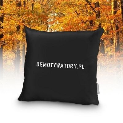 Demotywująca poduszka - prawdziwa miłość (foto) Demotywująca poduszka - prawdziwa miłość (foto)