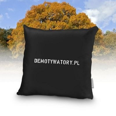 Demotywująca poduszka - prawdziwa miłość (foto) Demotywująca poduszka - prawdziwa miłość (foto)