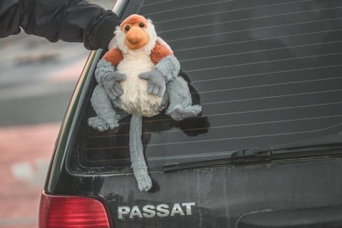 Pluszowy Nosacz Janusz Pluszowy Nosacz Janusz