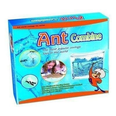 Akwarium na mrówki