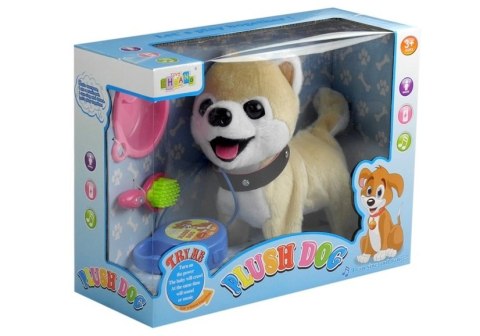 Interaktywny Piesek Na Smyczy + Akcesoria Husky Interaktywny Piesek Na Smyczy + Akcesoria Husky