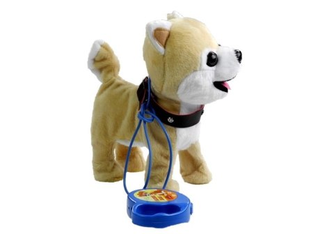 Interaktywny Piesek Na Smyczy + Akcesoria Husky Interaktywny Piesek Na Smyczy + Akcesoria Husky