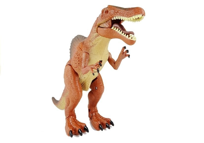 Duży Dinozaur Na Baterie Chodzi Ryczy Tyranozaur Duży Dinozaur Na Baterie Chodzi Ryczy Tyranozaur
