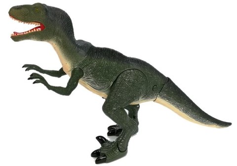 Dinozaur Velociraptor Porusza się Ryczy Świeci Dinozaur Velociraptor Porusza się Ryczy Świeci