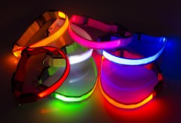 Świecąca obroża z diodami LED rozmiar XS-XL