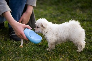 Butelka podróżna na wodę dla psa 350 ml różowa miska