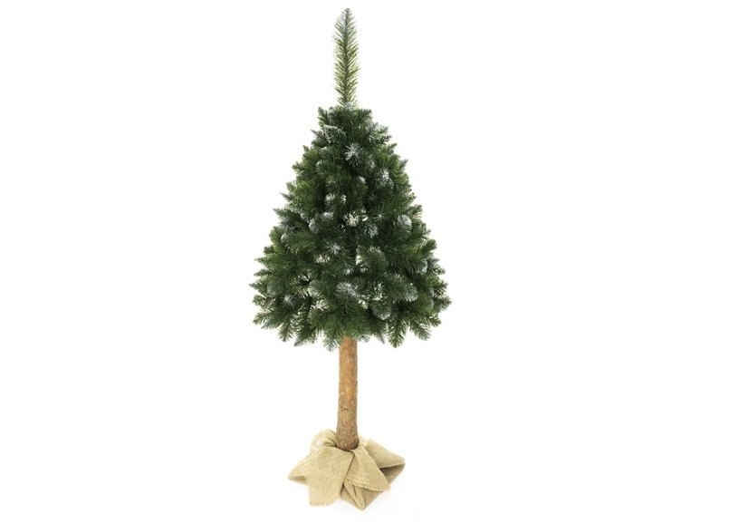 Choinka Sztuczna Sosna Diamentowa 220cm na Pniu Choinka Sztuczna Sosna Diamentowa 220cm na Pniu