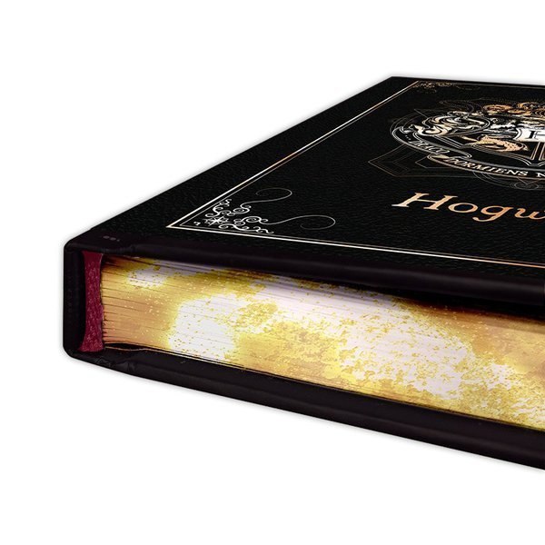 HARRY POTTER - Notes Premium Quidditch "Hogwarts" HARRY POTTER - Notes Premium Quidditch "Hogwarts"